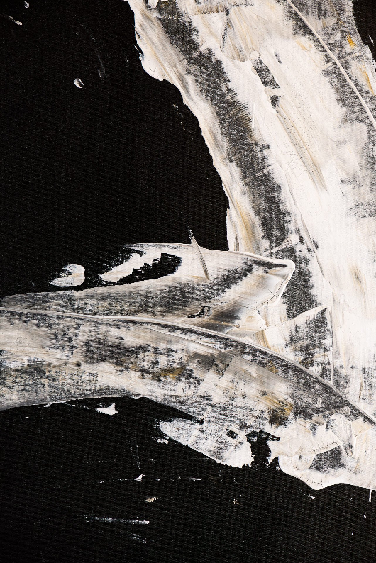 Wanessa Morone Danca_0010